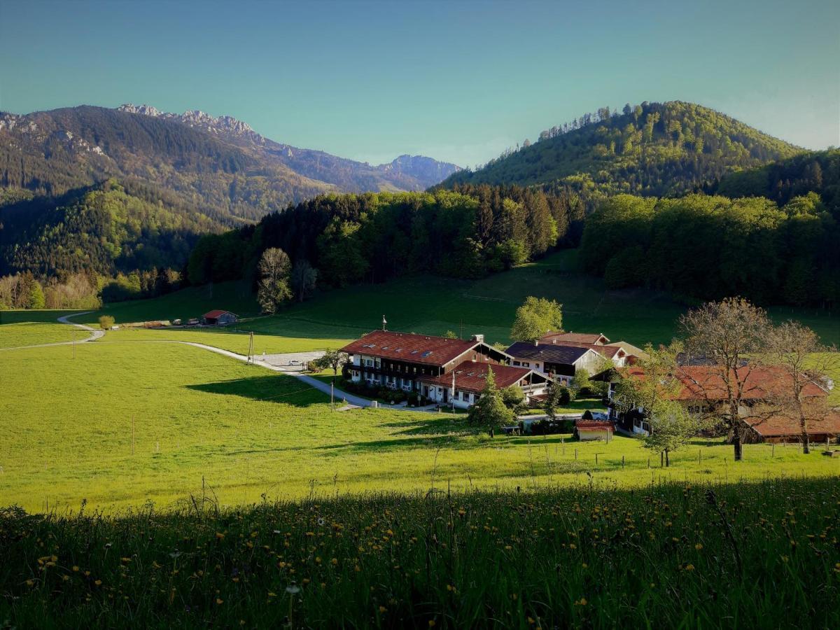 Gschwendtnerhof App10 Krausw Appartement Aschau im Chiemgau Buitenkant foto